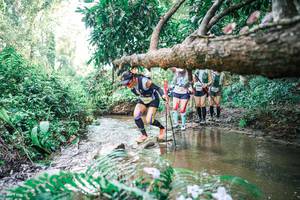 BIB: 
                            <button type="button" onclick="openModal(25477581)" class="btn btn-primary btn-sm float-right btn-popup" data-toggle="modal" data-target=".modal-high-quality">
                        <i class="fas fa-shopping-cart"></i> Add to Cart
                    </button>
                                            <button type="button" onclick="isThisMe(25477581, true)" class="btn btn-success btn-sm float-right btn-popup btn-isme hidden" data-toggle="tooltip" data-placement="bottom" title="นี่คือรูปของคุณใช่ไหม คลิกที่นี่เพื่อเอาเข้าอัลบั้ม">
                        <i class="fas fa-plus"></i> Add to album
                    </button>
                    <button type="button" onclick="isThisMe(25477581, false)" class="btn btn-warning btn-sm float-right btn-popup btn-isnotme hidden">
                        <i class="fas fa-ban"></i> Remove from album
                    </button>